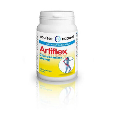 Artiflex, 60 comprimés, Noblesse