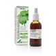 Soria Estratto naturale di ippocastano S. Xxi, 50ml