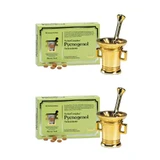 Activecomplex Pycnogenol, 2X60 Tablet