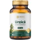 Urzică 500 mg — 60 capsule cu extract concentrat din rădăcina de urzică pentru susținerea sistemului urinar, prostatei și circulației  |  Plante Tradiționale