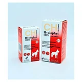 CHEMICAL IBERICA Hyalophyt MSM Medium, M, joint system supplement for dogs, box, 120 tablets