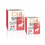CHEMICAL IBERICA Hyalophyt MSM Giants, L-XL, joint system supplement for dogs, box, 30 tablets