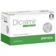 Dicalmir amestec pe bază de plante 15 pliculețe 2 g