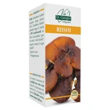 Reishi 180 tablets