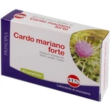 Chardon Marie forte 60 comprimés