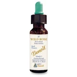 Bach flower benoit wild rose 10 ml