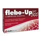 Phlebo-up sh 500 30 comprimés