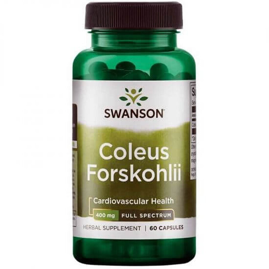 Coleus Forskohlii, 60 gélules, Swanson Health USA