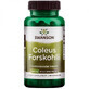 Coleus Forskohlii, 60 g&#233;lules, Swanson Health USA