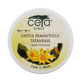 Crème au beurre de terre et tattaneasa, 50 ml, Ceta Sibiu