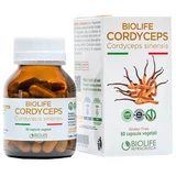 Biolife cordyceps 60 capsules
