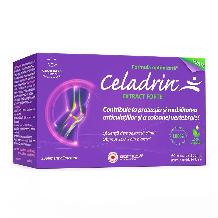 Celadrin Extract Forte 500 mg, 60 capsule, Good Days Therapy recensioni