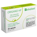 Origan hp 30 gélules