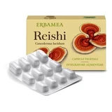 Reishi 24 capsules