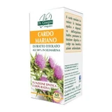 Chardon Marie extrait titré 60 comprimés