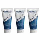 Anti-inflammatory gel Eqvagel Forte, 3x150 g, Pasteur
