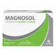 Magnosol 20 sobres efervescentes