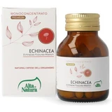 Echinacea 50 comprimés 1000mg terranat