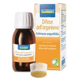 Echinacea angustifolia hydroalcoholic extract 60 ml int