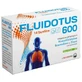 Fluidotus 600 14 sachets