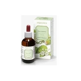 Pilosella parties aériennes extrait hydroalcoolique 50 ml
