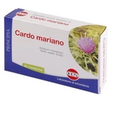 Mariadistel droog extract 60 tabletten