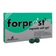 Forprost 400 15 soft capsules
