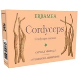 Cordyceps 24 vegetarian capsules