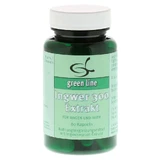 Ginger 300 Extract Capsules 60 Capsules