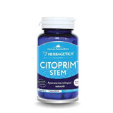 Cytoprim + Stem, 60 gélules, Herbagetica