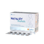 Natalvit Profolic, 60 comprimés, Hyllan
