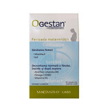 Ogestan nutrition physiologique, 30 gélules, Besins Healthcare