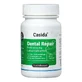 Casida Dental Repair Probiotice 60 St