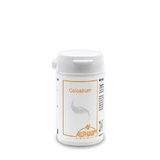 Colostrum capsules 60 Capsules