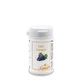 Grape seed extract OPC capsules 60 Capsules