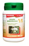 Coada Șoricelului, 40 capsule, Favisan