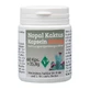 NOPAL Cactus 500 mg Capsule 60 Capsule