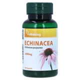 Echinacea 1000 mg gélules 90 gélules