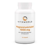 Vitaworld Magnesiummalat 1000 mg 120 St