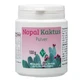 NOPAL Cactus pulbere 100 g