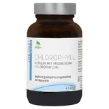Cápsulas de clorofila 60 unidades