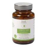 Siberian ginseng high dose vegan capsules 60 Capsules