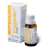Ginger Pure 20 ml