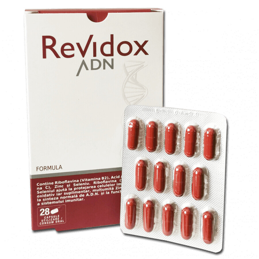 Revidox DNA, 28 gélules, Actafarma