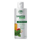 Shampoo 99,5% pflanzlich mit Apfel- und Brennnesselessig, 200 ml, Ceta Sibiu