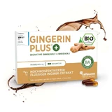 Strongest Organic Ginger Extract Capsules - Gingerin PLUS® 60 Capsules