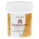 Cordyceps Vital Mushroom Terra Mundo Capsules 60 Capsules