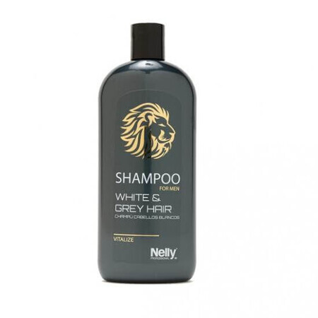 Shampooing pour cheveux gris des hommes, 400 ml, Nelly Professional