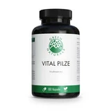 Green Naturals Vital Mushrooms Cordyceps Rei 180 St
