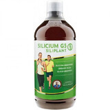 Silicium organique G5 Siliplant, 1000 ml, Pronat